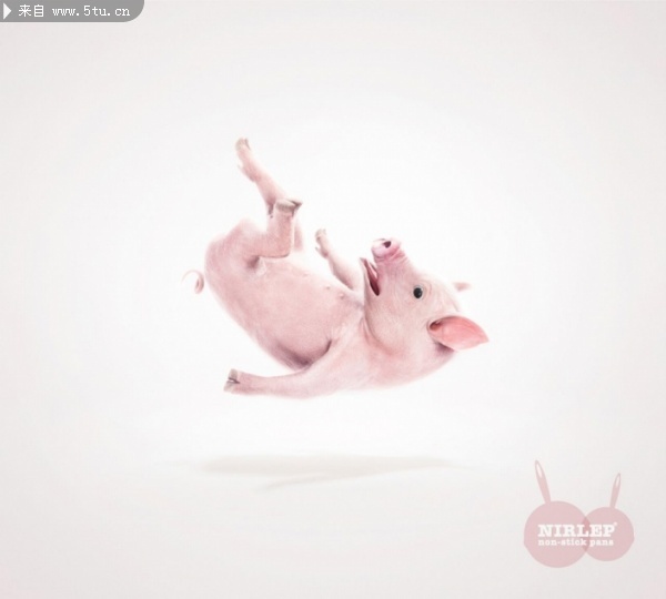 [ƽ��V��] �мұ��Рt�Nirlep���Ͳ�ճ偣�1��.jpg