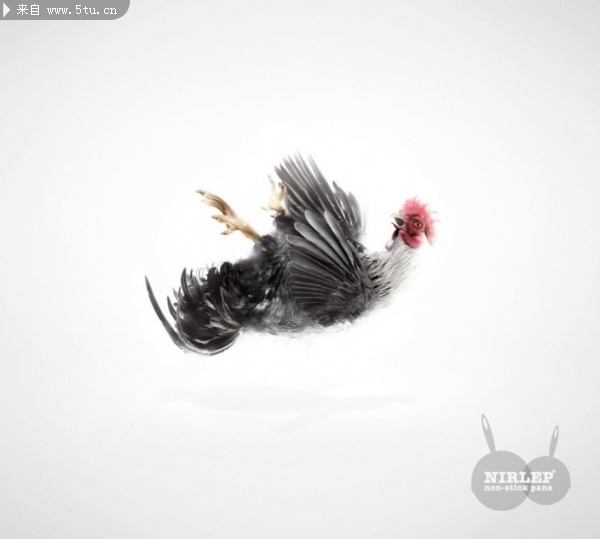 [ƽ��V��] �мұ��Рt�Nirlep���Ͳ�ճ偣�2��.jpg